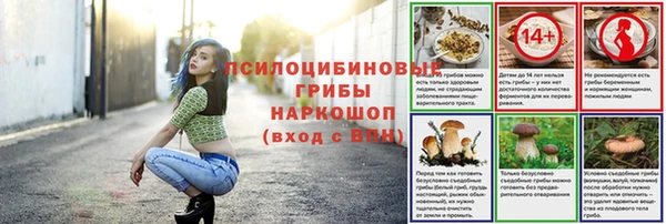 прущие крисы Краснослободск